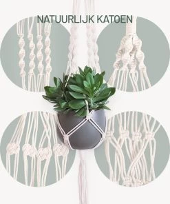 Gadgy Plantenhanger Macramé 3 Stuks - Luxe Gevlochten Touw Katoen - Plantenpot Ophangen - Hangpot -Tuin Gerelateerd 1000x1200 5