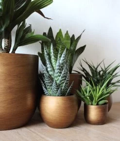 Capi Europe - Bloempot Bol Retro - 23x21 - Goud - Bloempot Voor Binnen - BRTG134 -Tuin Gerelateerd 1023x1200