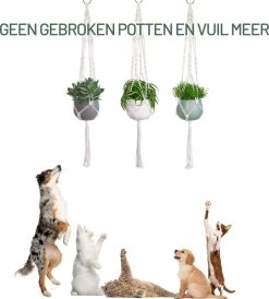 Gadgy Plantenhanger Macramé 3 Stuks - Luxe Gevlochten Touw Katoen - Plantenpot Ophangen - Hangpot -Tuin Gerelateerd 1080x1200 4