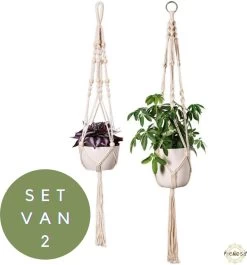 Plantenhanger - Plantenhanger Macrame - Set Van 2 - Wit - Knopen - Luxe Gevlochten Touw - Met Ophang Haken - Fienosa -Tuin Gerelateerd 1118x1200 2