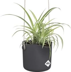 Elho B.for Swing 18 Hangpot - Bloempot Voor Binnen - Ø 18.0 X H 16.5 Cm - Zwart/Antraciet -Tuin Gerelateerd 1191x1200 6