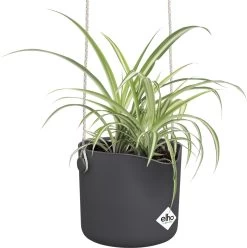 Elho B.for Swing 18 Hangpot - Bloempot Voor Binnen - Ø 18.0 X H 16.5 Cm - Zwart/Antraciet -Tuin Gerelateerd 1195x1200 5
