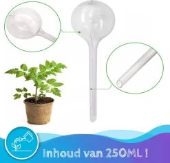 Summer Spark Waterdruppelaar Voor Planten 6 Stuks Transparant – 27 CM X 8 CM – 250 ML – Automatisch Watergeefsysteem Voor Kamerplanten – Planten Watergever Met Druppelsysteem – Waterbol -Tuin Gerelateerd 1200x1153 2