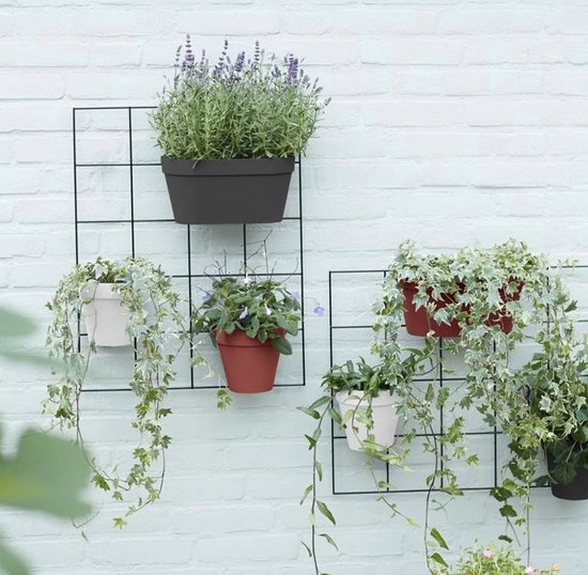 Elho Loft Urban Green Wall Rek 48 - Accessoires Voor Buiten - Ø 47.3 X H 59.0 Cm - Zwart/Living Black 5 Elho Loft Urban Green Wall Rek 48 - Accessoires Voor Buiten - Ø 47.3 X H 59.0 Cm - Zwart/Living Black - Afbeelding 3