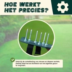Merkloos Gazonbeluchtingssandalen Premium - Gazonbeluchter - Beluchter - Gazonverluchter - Gazonpriksandalen - Verticuteerroller - Graszaad - Gazonmest - Kerstcadeau - Voor Mannen - Voor Vrouwen - Cadeautjes- Vaderdag Cadeau- Geschenk- Cadeautjes -Tuin Gerelateerd 1200x1197 14