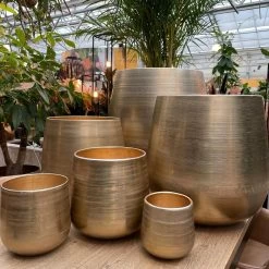 Merkloos Karakter Pot Alu Neo Gold ø40x40cm -Tuin Gerelateerd 1200x1198 28