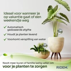 Waterdruppelaar Voor Planten - Irrigatiesysteem- Waterbol - Druppelsysteem - Watergeefsysteem Voor Kamerplanten - Plantenwatergever -6 Stuks - Transparant 17 Waterdruppelaar Voor Planten - Irrigatiesysteem- Waterbol - Druppelsysteem - Watergeefsysteem Voor Kamerplanten - Plantenwatergever -6 Stuks - Transparant -Tuin Gerelateerd 1200x1200 1000