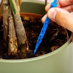 Woonaccessoires- Automatisch Watergeef Systeem | Plantenwaterer - Life Support Irrigatieapparaat | Druppelaar Kamerplanten - | Planten Watergever Met Druppelsysteem 350ml 16 Woonaccessoires- Automatisch Watergeef Systeem | Plantenwaterer - Life Support Irrigatieapparaat | Druppelaar Kamerplanten - | Planten Watergever Met Druppelsysteem 350ml -Tuin Gerelateerd 1200x1200 1017