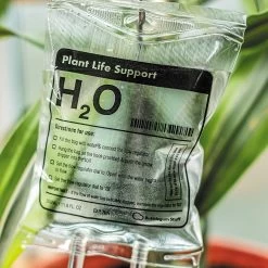 Woonaccessoires- Automatisch Watergeef Systeem | Plantenwaterer - Life Support Irrigatieapparaat | Druppelaar Kamerplanten - | Planten Watergever Met Druppelsysteem 350ml 20 Woonaccessoires- Automatisch Watergeef Systeem | Plantenwaterer - Life Support Irrigatieapparaat | Druppelaar Kamerplanten - | Planten Watergever Met Druppelsysteem 350ml -Tuin Gerelateerd 1200x1200 1020