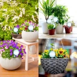 Druppelsysteem 12 Stuks Waterdruppelaar Voor Planten - Waterafgiftesysteem Voor 2 Weken - Beregening Voor Kamerplanten -Tuin Gerelateerd 1200x1200 1032