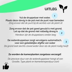 HGMD Waterdruppelaar Set Van 8 Stuks Voor Planten Transparant - Groen - Waterdruppelaar Voor Kamerplanten – Waterbol - Waterdruppelaar Voor Planten - Watergeefsysteem -Tuin Gerelateerd 1200x1200 1037