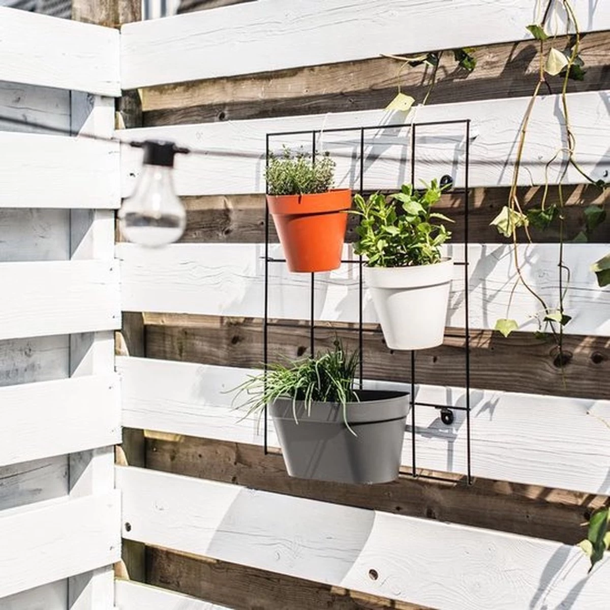 Elho Loft Urban Green Wall Rek 48 - Accessoires Voor Buiten - Ø 47.3 X H 59.0 Cm - Zwart/Living Black 6 Elho Loft Urban Green Wall Rek 48 - Accessoires Voor Buiten - Ø 47.3 X H 59.0 Cm - Zwart/Living Black - Afbeelding 4