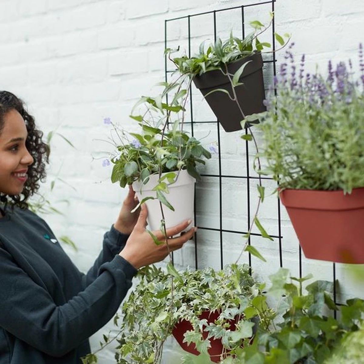 Elho Loft Urban Green Wall Rek 48 - Accessoires Voor Buiten - Ø 47.3 X H 59.0 Cm - Zwart/Living Black 7 Elho Loft Urban Green Wall Rek 48 - Accessoires Voor Buiten - Ø 47.3 X H 59.0 Cm - Zwart/Living Black - Afbeelding 5