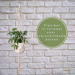 Plantenhanger - Plantenhanger Macrame - Set Van 2 - Wit - Knopen - Luxe Gevlochten Touw - Met Ophang Haken - Fienosa -Tuin Gerelateerd 1200x1200 1240