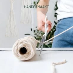 Gadgy Plantenhanger Macramé 3 Stuks - Luxe Gevlochten Touw Katoen - Plantenpot Ophangen - Hangpot -Tuin Gerelateerd 1200x1200 1243