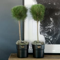 Riviera Maison Bloempot Voor Binnen Zwart - City Loft Flower Pot S -Tuin Gerelateerd 1200x1200 1267