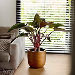 Capi Europe - Bloempot Bol Retro - 23x21 - Goud - Bloempot Voor Binnen - BRTG134 -Tuin Gerelateerd 1200x1200 1273