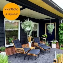 BUITEN Living Dex Wicker Loungestoel Tuin Incl. Wicker Voetenbank | Wicker + Aluminium | Bamboe Antraciet -Tuin Gerelateerd 1200x1200 192