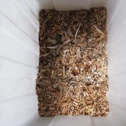 Gardebruk Hakselaar Elektrisch 2800W - 45mm Takdikte - Opvangbak 60 L 19 Gardebruk Hakselaar Elektrisch 2800W - 45mm Takdikte - Opvangbak 60 L -Tuin Gerelateerd 1200x1200 547