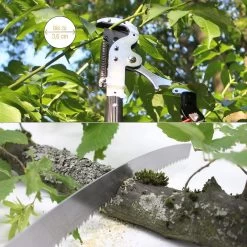 Iceberk Snoeischaar + Snoeizaag (1,45 - 3,70 M) - Telescopische Snoeischaar Voor Het Snoeien Van Bomen En Dichte Struiken Zonder Ladder -Tuin Gerelateerd 1200x1200 569
