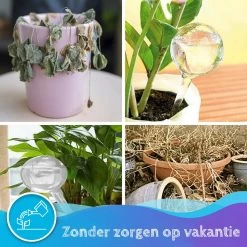 Summer Spark Waterdruppelaar Voor Planten 6 Stuks Transparant – 27 CM X 8 CM – 250 ML – Automatisch Watergeefsysteem Voor Kamerplanten – Planten Watergever Met Druppelsysteem – Waterbol -Tuin Gerelateerd 1200x1200 989