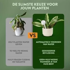 STFF & Co® Waterdruppelaar Voor Planten – Irrigatiesysteem Automatisch Watergeefsysteem – Waterbollen Voor Planten – Bewateringssysteem – 8 Stuks - 5cm 9 STFF & Co® Waterdruppelaar Voor Planten – Irrigatiesysteem Automatisch Watergeefsysteem – Waterbollen Voor Planten – Bewateringssysteem – 8 Stuks - 5cm -Tuin Gerelateerd 1200x1200 991