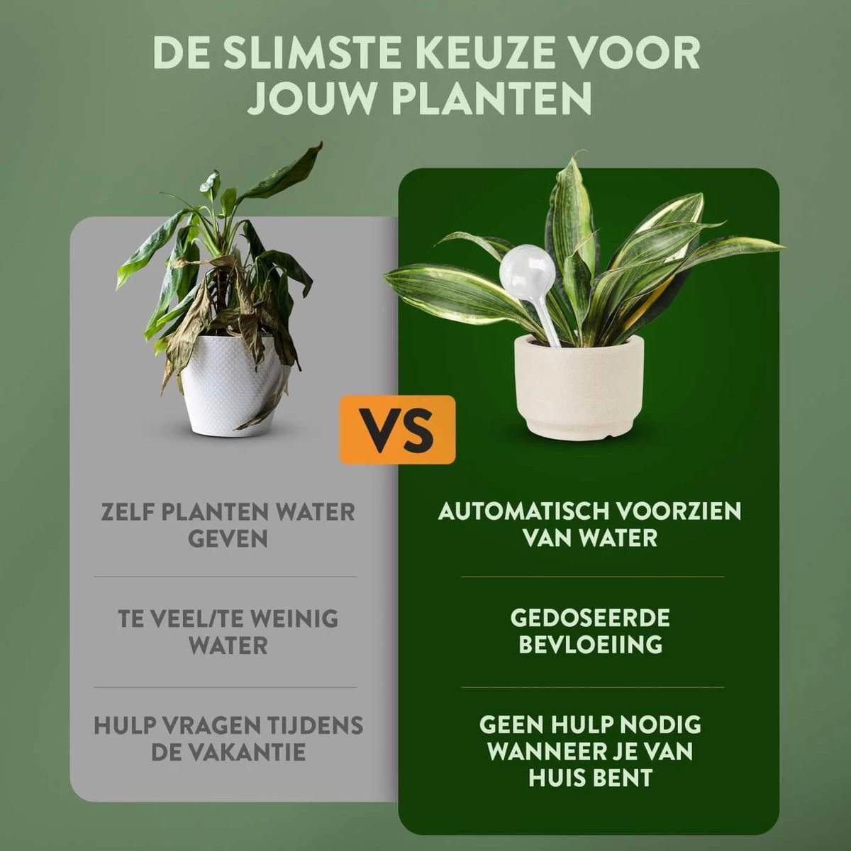 STFF & Co® Waterdruppelaar Voor Planten – Irrigatiesysteem Automatisch Watergeefsysteem – Waterbollen Voor Planten – Bewateringssysteem – 8 Stuks - 5cm 5 STFF & Co® Waterdruppelaar Voor Planten – Irrigatiesysteem Automatisch Watergeefsysteem – Waterbollen Voor Planten – Bewateringssysteem – 8 Stuks - 5cm - Afbeelding 3