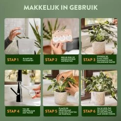 STFF & Co® Waterdruppelaar Voor Planten – Irrigatiesysteem Automatisch Watergeefsysteem – Waterbollen Voor Planten – Bewateringssysteem – 8 Stuks - 5cm 10 STFF & Co® Waterdruppelaar Voor Planten – Irrigatiesysteem Automatisch Watergeefsysteem – Waterbollen Voor Planten – Bewateringssysteem – 8 Stuks - 5cm -Tuin Gerelateerd 1200x1200 992