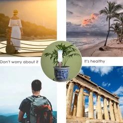 BOTC Waterdruppelaar Set Van 6 Stuks Voor Planten - Watergeefsysteem 18 BOTC Waterdruppelaar Set Van 6 Stuks Voor Planten - Watergeefsysteem -Tuin Gerelateerd 1200x1200 997