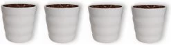 WL Plants - Bloempot Binnen - Set Van 4 - Dawn Ø12 Wit - Luxe Bloempotten Voor Binnen - Bloempotten Voor Buiten - Bloembak & Plantenpot - Hoogte 12,5 Cm - Keramisch Met Hoogwaardige Afwerking