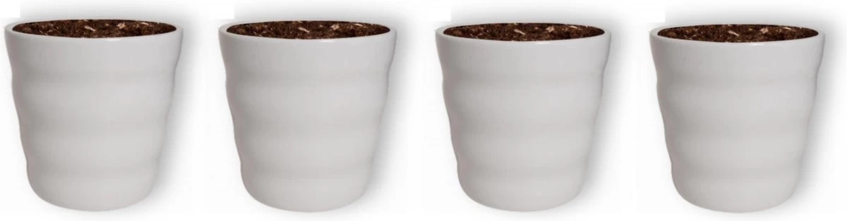WL Plants - Bloempot Binnen - Set Van 4 - Dawn Ø12 Wit - Luxe Bloempotten Voor Binnen - Bloempotten Voor Buiten - Bloembak & Plantenpot - Hoogte 12,5 Cm - Keramisch Met Hoogwaardige Afwerking 3 WL Plants - Bloempot Binnen - Set Van 4 - Dawn Ø12 Wit - Luxe Bloempotten Voor Binnen - Bloempotten Voor Buiten - Bloembak & Plantenpot - Hoogte 12,5 Cm - Keramisch Met Hoogwaardige Afwerking