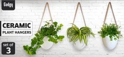 Gadgy Plantenhanger Keramiek - Set Van 3 - Hangpot Van Wit Steen - Hangende Bloempot Plantenpot - Met 3 Verschillende Koorden - 12x11x9.5CM -Tuin Gerelateerd 1200x552