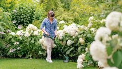 Bosch EasyGrassCut 18V-26 Grastrimmer - Zonder Accu En Lader -Tuin Gerelateerd 1200x675 17