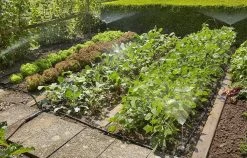 GARDENA Micro Drip System Bloembed En Moestuin Startset Druppelsysteem - 25 Meter 14 GARDENA Micro Drip System Bloembed En Moestuin Startset Druppelsysteem - 25 Meter -Tuin Gerelateerd 1200x770 2