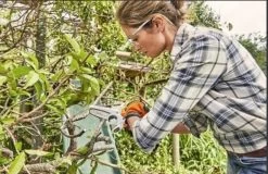 Stihl Accu Mini Kettingzaag SET - Snoeischaar - Snoeizaag - Hand Kettingzaag - Professioneel- Hovenier- Tuinman -Tuin Gerelateerd 1200x779 3