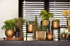 Capi Europe - Bloempot Bol Retro - 23x21 - Goud - Bloempot Voor Binnen - BRTG134 -Tuin Gerelateerd 1200x795 3