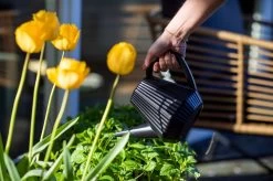 Xala - Gieter Doppio Groove 2L Zwart -Tuin Gerelateerd 1200x799 141