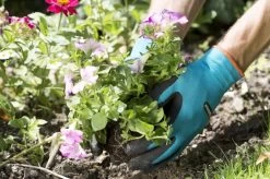 Gardena Plant- En Bodem Handschoen - Maat: M -Tuin Gerelateerd 1200x799 145