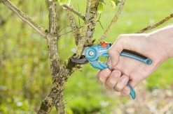 GARDENA Classic Aambeeld Snoeischaar - Ø 18 Mm -Tuin Gerelateerd 1200x799 38