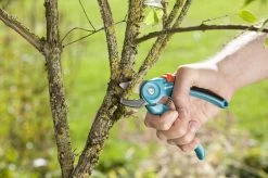 GARDENA Classic Aambeeld Snoeischaar - Ø 18 Mm -Tuin Gerelateerd 1200x799 40