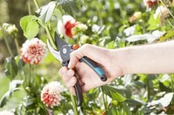 GARDENA Comfort B/M Bypass Snoeischaar - Ø 24mm - Met Sapgeul -Tuin Gerelateerd 1200x799 41