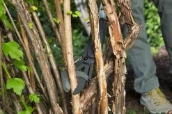 GARDENA - SlimCut Takkenschaar -28mm- Met Hefboommechanisme -Tuin Gerelateerd 1200x799 46