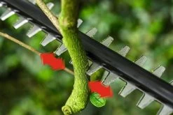 Bosch UniversalHedgePole 18 Steel Heggenschaar - 43 Cm Meslengte - Zonder 18 V Accu En Oplader 19 Bosch UniversalHedgePole 18 Steel Heggenschaar - 43 Cm Meslengte - Zonder 18 V Accu En Oplader -Tuin Gerelateerd 1200x800 102