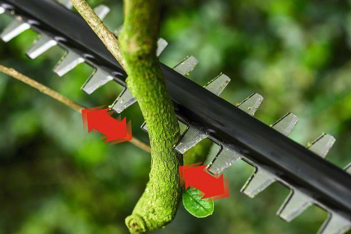 Bosch UniversalHedgePole 18 Steel Heggenschaar - 43 Cm Meslengte - Zonder 18 V Accu En Oplader 6 Bosch UniversalHedgePole 18 Steel Heggenschaar - 43 Cm Meslengte - Zonder 18 V Accu En Oplader - Afbeelding 4