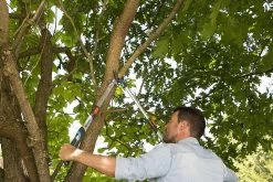 Gardena TeleCut Takkenschaar 650-900 B - Uitschuifbare Armen - Tot Max 90 Cm 21 Gardena TeleCut Takkenschaar 650-900 B - Uitschuifbare Armen - Tot Max 90 Cm -Tuin Gerelateerd 1200x800 110