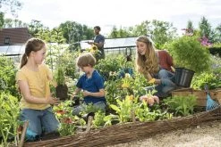 GARDENA Combisystem Bladharkje - Werkbreedte 12 Cm - 25 Jaar Garantie -Tuin Gerelateerd 1200x800 160