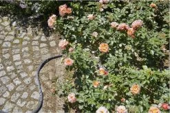 GARDENA Kraanverbindingsstuk Binnenshuis -Tuin Gerelateerd 1200x800 228