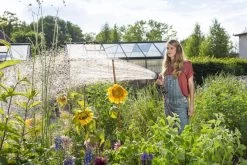 GARDENA - Comfort Broeskop - 5 Straalsoorten - Grijs -Tuin Gerelateerd 1200x800 240