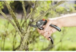 GARDENA - Comfort A/M Aambeeld - Snoeischaar - Ø 23mm -Tuin Gerelateerd 1200x825 1