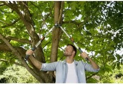 Gardena TeleCut Takkenschaar 650-900 B - Uitschuifbare Armen - Tot Max 90 Cm 20 Gardena TeleCut Takkenschaar 650-900 B - Uitschuifbare Armen - Tot Max 90 Cm -Tuin Gerelateerd 1200x826 2